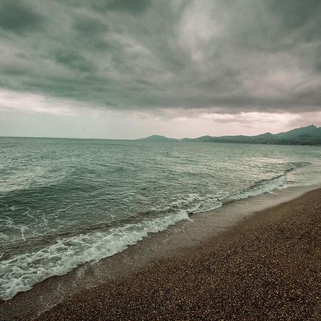 Appartement T2 Les Pieds Dans L'Eau A Argelès-sur-Mer Exteriör bild